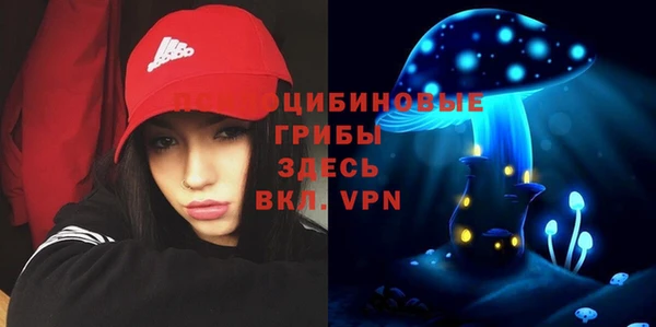 сатива Верхнеуральск