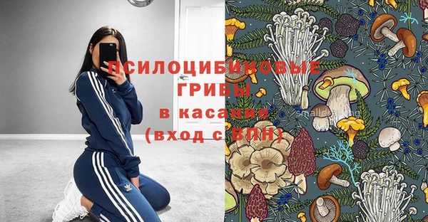 сатива Верхнеуральск
