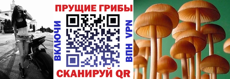 гидра онион Славянск-на-Кубани Галлюциногенные грибы прущие грибы